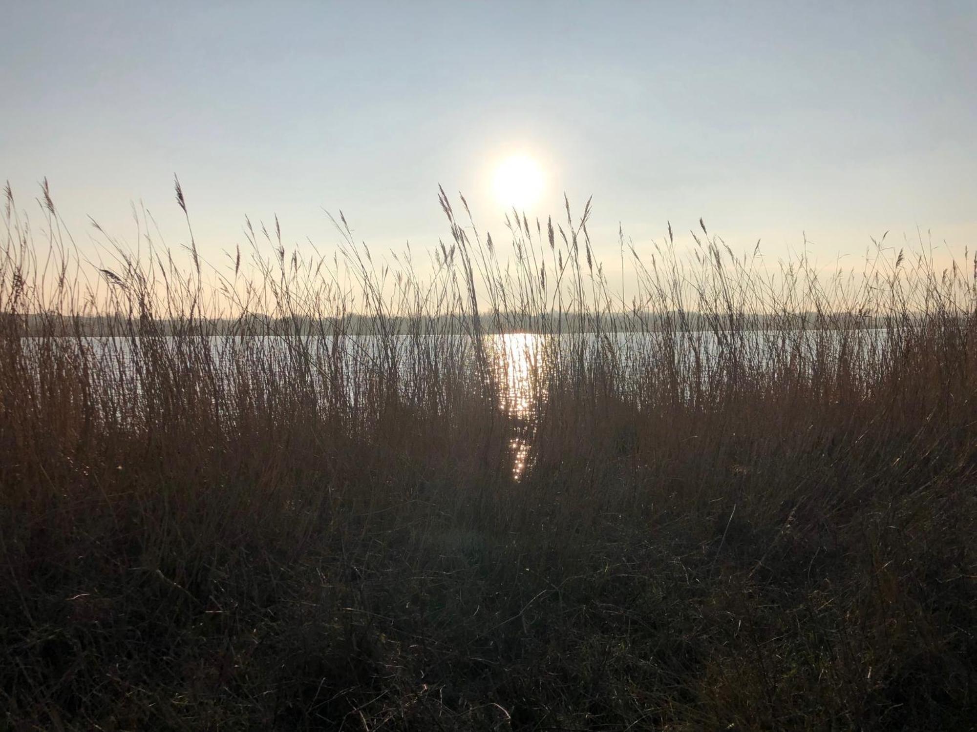 Domaine De L'O Ξενοδοχείο Gatteville-le-Phare Εξωτερικό φωτογραφία