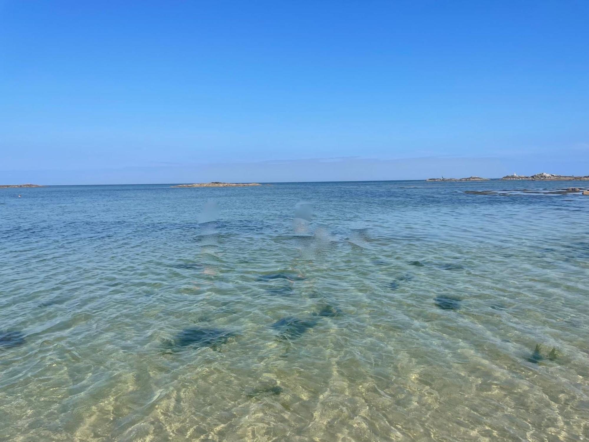 Domaine De L'O Ξενοδοχείο Gatteville-le-Phare Εξωτερικό φωτογραφία